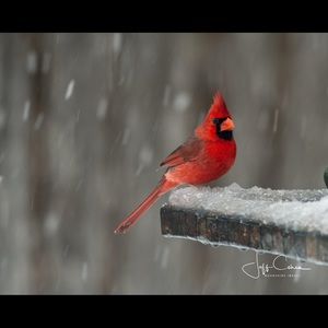 Meet your Posher, Deborah